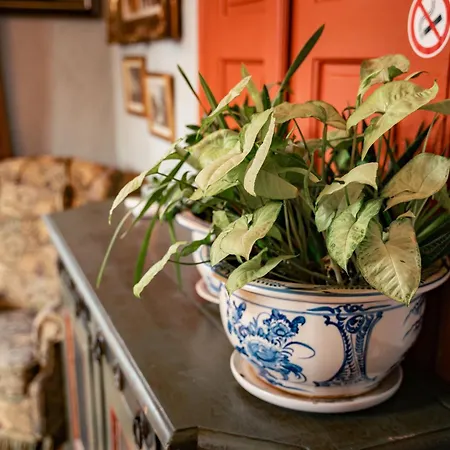 Malkia Inter Konukevi