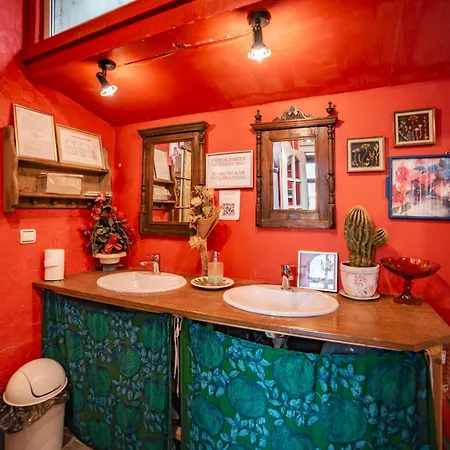 Malkia Inter * Tırnova