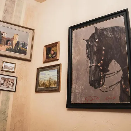 Malkia Inter Tırnova