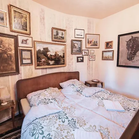 Malkia Inter * Tırnova