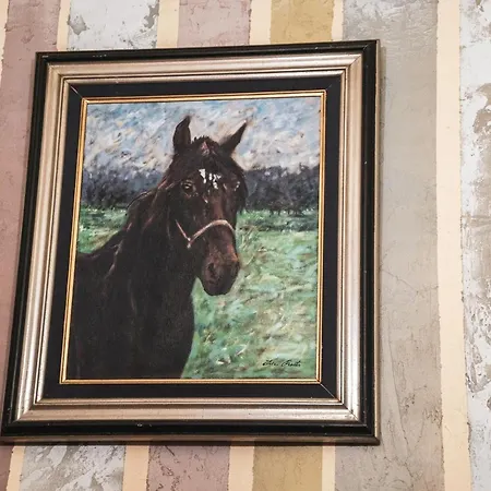 Konukevi Malkia Inter