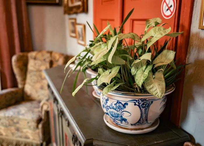 Malkia Inter Gæstehus