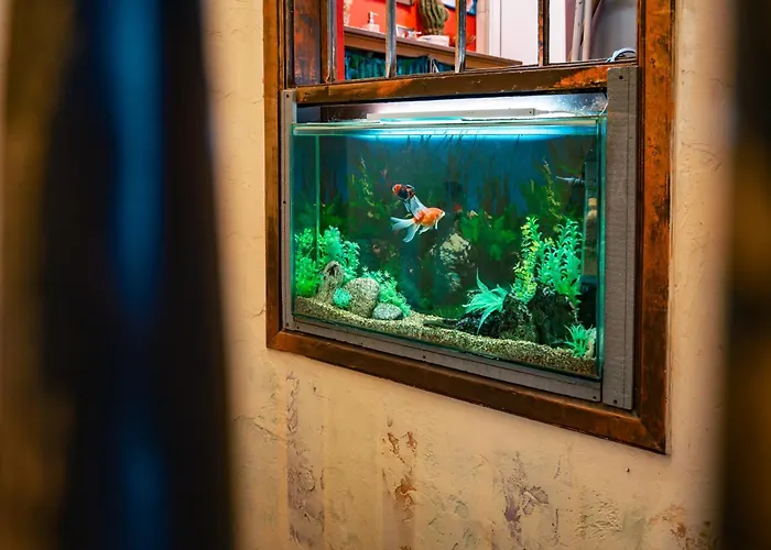 Malkia Inter Veliko Tarnovo